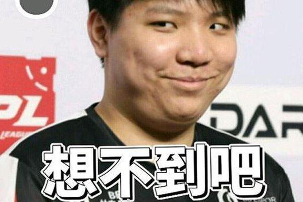 样本显示